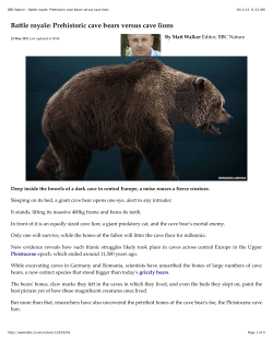BBC Nature - Battle royale: Prehistoric cave bears versus cave lions