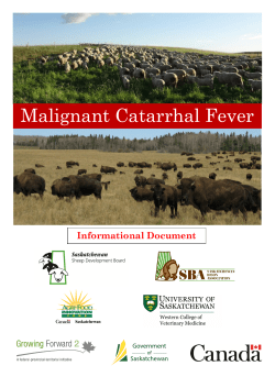 Here - Canadian Bison Association