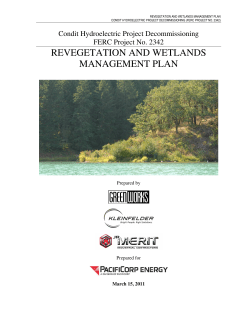 revegetation and wetlands management plan