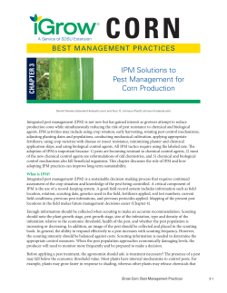 IPM Solutions to Pest Management for Corn Production