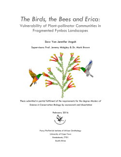 The Birds, the Bees and Erica