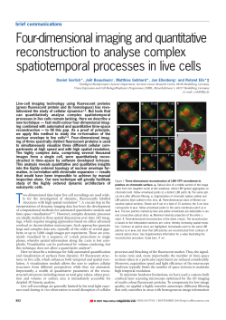Four-dimensional imaging and quantitative reconstruction to