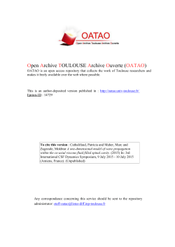 PDF (Author`s version)