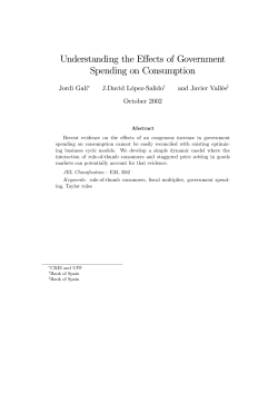 Understanding the Effects of Government Spending on