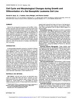 Cell Cycle and Morphological Changes during