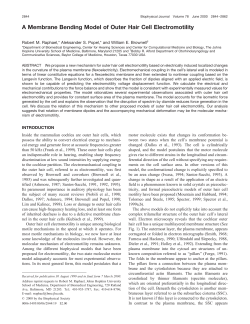 A Membrane Bending Model of Outer Hair Cell Electromotility