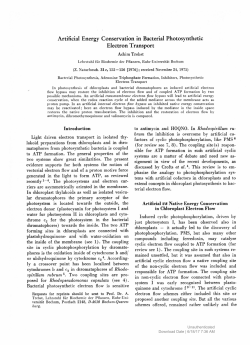 Artificial Energy Conservation in Bacterial Photosynthetic Electron