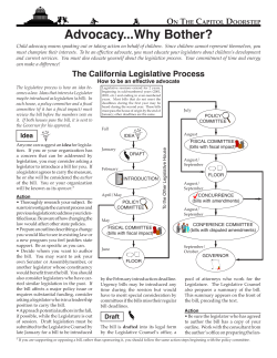 Advocacy...Why Bother? - On The Capitol Doorstep