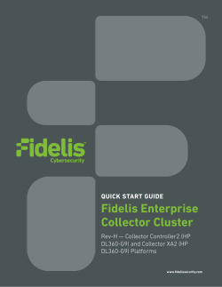 Fidelis Enterprise Collector Cluster