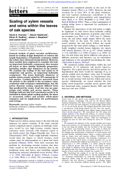 Scaling of xylem vessels and veins within the leaves of