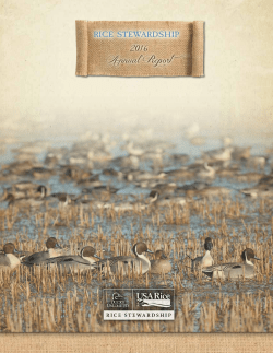 2016 Annual Report - USA Rice Federation