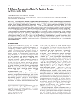 A Diffusion&ndash;Translocation Model for Gradient