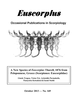 A new species of Euscorpius Thorell, 1876 from Peloponnese