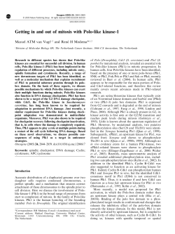Getting in and out of mitosis with Polo-like kinase-1