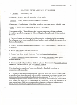 SOLUTIONS TO THE MODULE #4 STUDY GUIDE 1. a