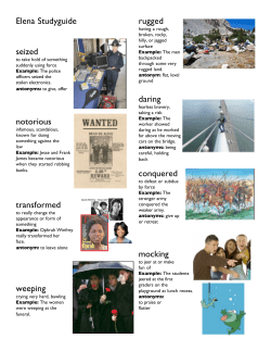 elena studyguide.cwk (WP)