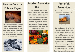 Bubonic Plague Cures