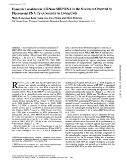 Dynamic Localization of RNase MRP RNA in the Nucleolus
