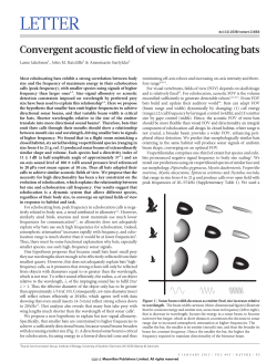 Convergent acoustic field of view in echolocating bats