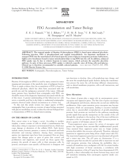 FDG Accumulation and Tumor Biology