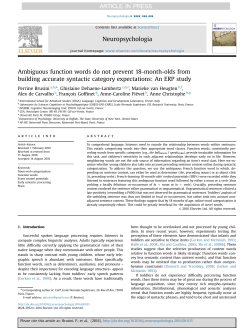 Ambiguous function words do not prevent 18-month