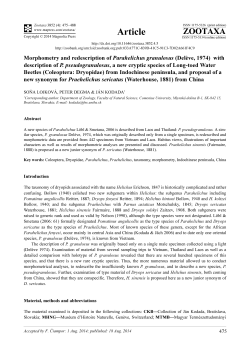 Preview - Magnolia press