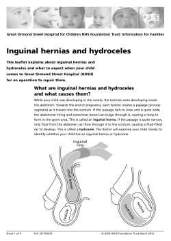Inguinal hernias and hydroceles