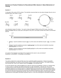 Solutions to Practice Problems for Recombinant DNA, Session 2