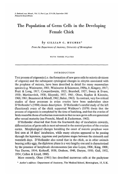 The Population of Germ Cells in the Developing Female Chick