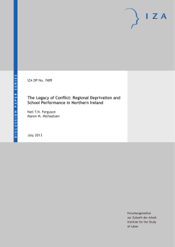 Discussion Paper No. 7489