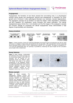 Spheroid-Based Cellular Angiogenesis Assay