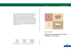 Influence of processing on the flavour formation of oat and rye