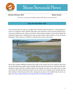 Shore Stewards News