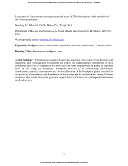 Recurrence of Chromosome Rearrangements and Reuse of DNA