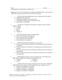 The Structure of Living Things &ndash; Practice Test Directio