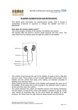 BLADDER AUGMENTATION AND MITROFANOFF How