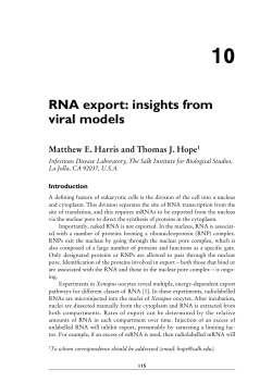 RNA export - Essays in Biochemistry