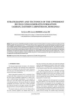 Stratigraphy and tectonicS of the uppermoSt Bucegi