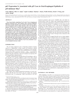 p63 Expression Is Associated with p53 Loss in Oral