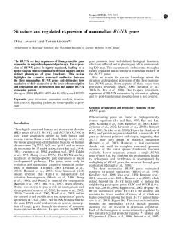 Structure and regulated expression of mammalian RUNX genes