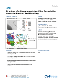 Structure of a Chaperone-Usher Pilus Reveals the Molecular Basis