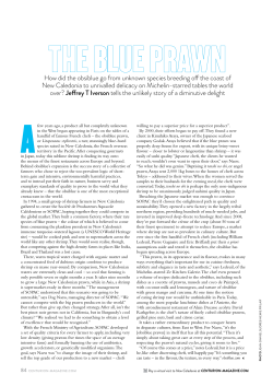 How did the obsiblue go from unknown species breeding o the coast