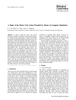 A study of the motor unit action potential by means of computer