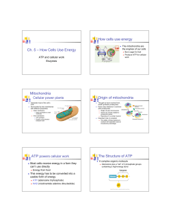 How Cells Use Energy