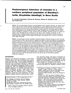 Postemergence behaviour of neonates in a northern