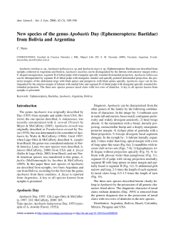 New species of the genus Apobaetis Day