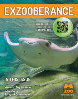 May/June - Memphis Zoo