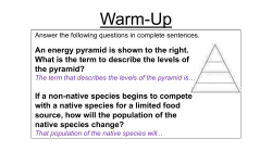 The Carbon Cycle - stephen fleenor