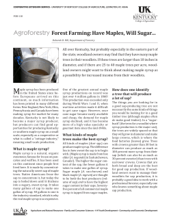 FOR-118: Forest Farming: Have Maples, Will Sugar