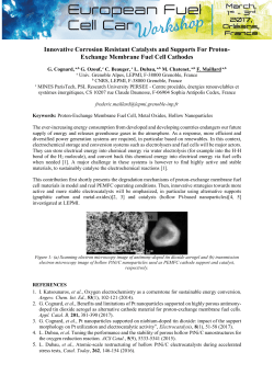 Innovative Corrosion Resistant Catalysts and Supports For Proton